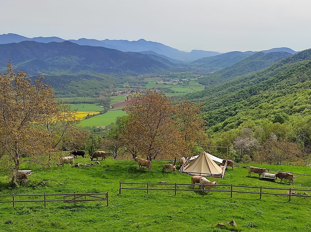 gem image Cabanyes entre Valls 2