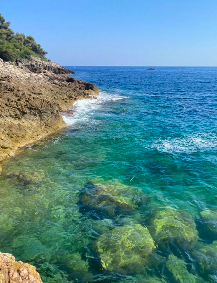 gem image Plage Paloma 3