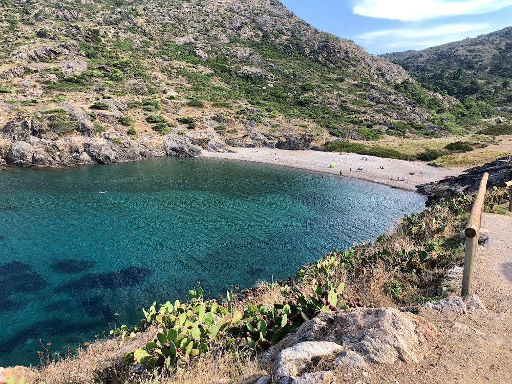 gem image Cala Tamariua 10