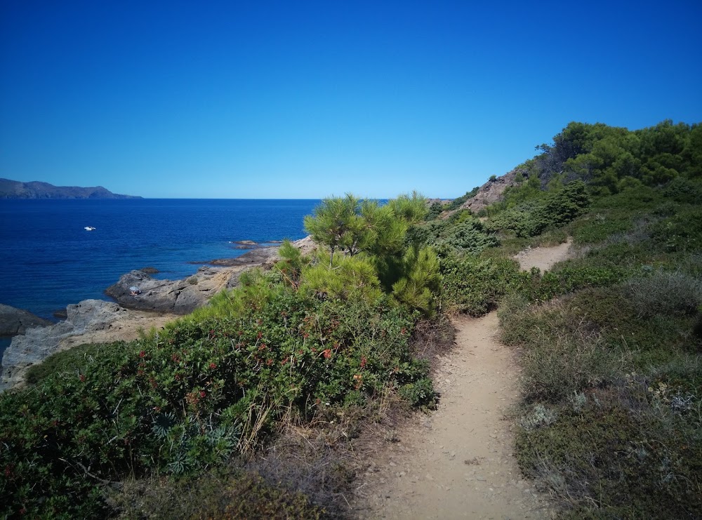 gem image Cala Tamariua 9