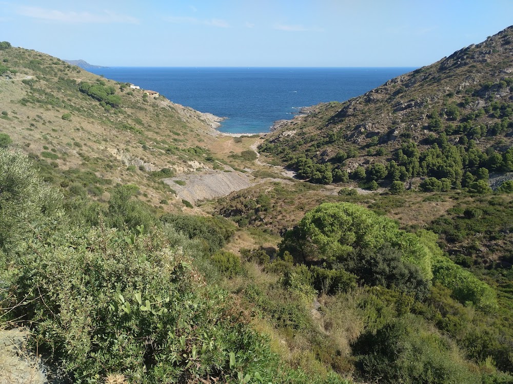 gem image Cala Tamariua 4