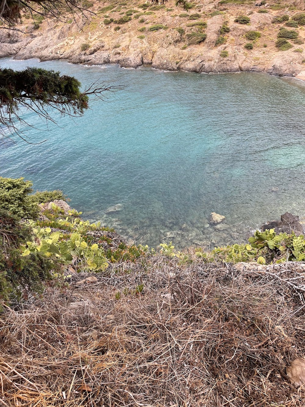 gem image Cala Tamariua 2