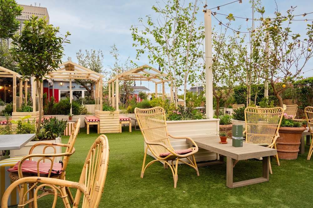 gem image Willows On The Roof - London Rooftop Restaurant & Bar 10