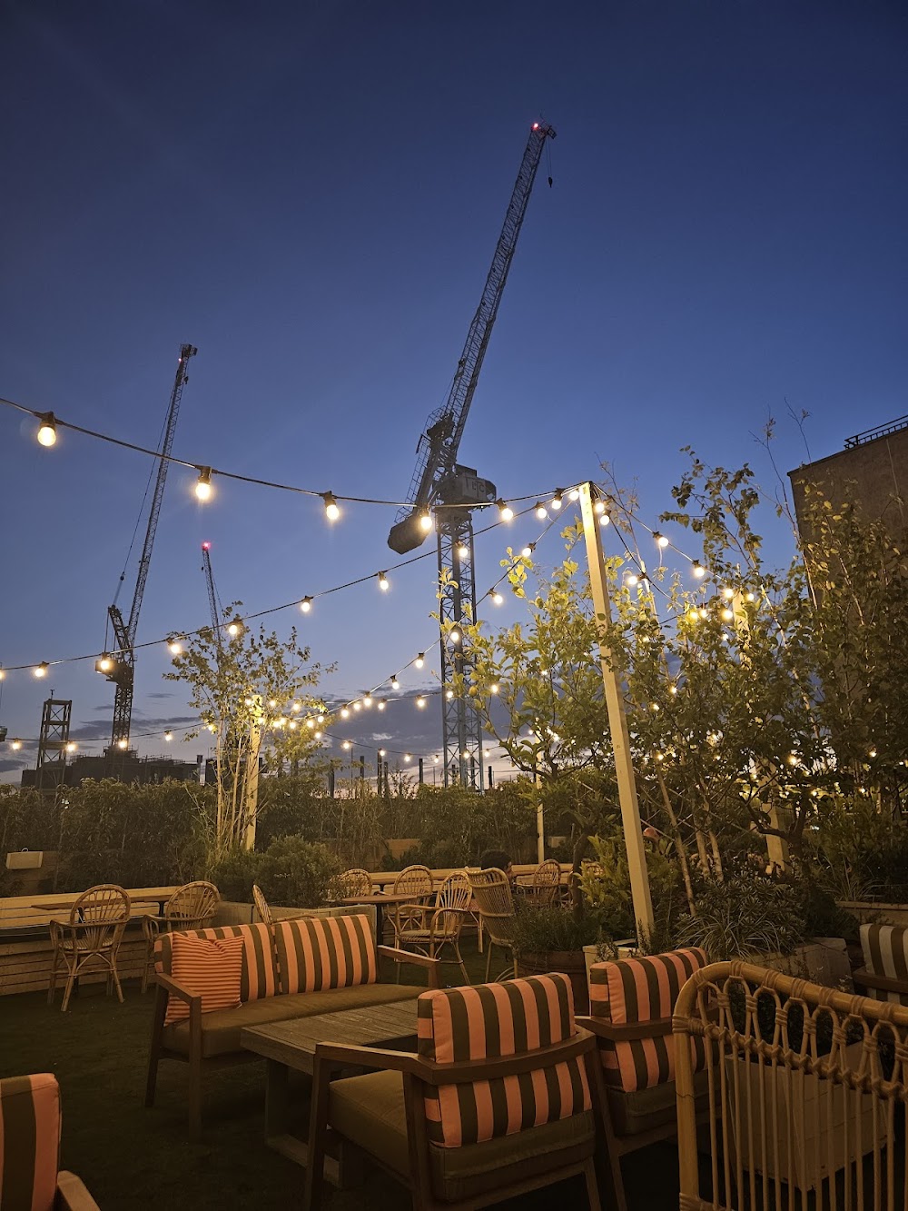 gem image Willows On The Roof - London Rooftop Restaurant & Bar 8