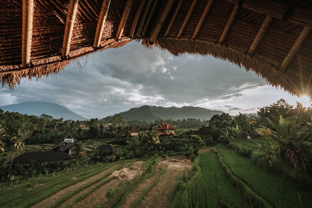 gem image Veluvana Bali | Bamboo House 3