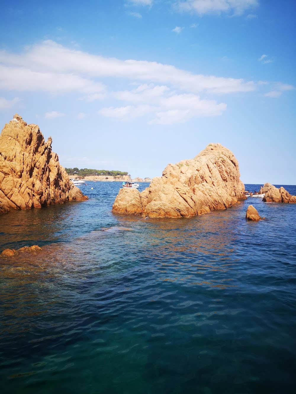 gem image Punta del Cap Mort 8