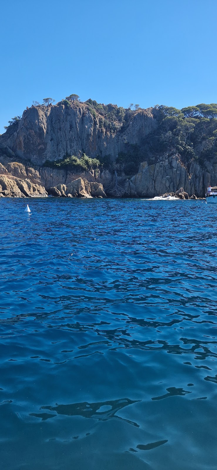 gem image Punta del Cap Mort 2