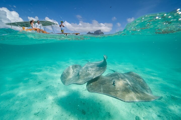 gem image Lagoon Service Bora Bora 9