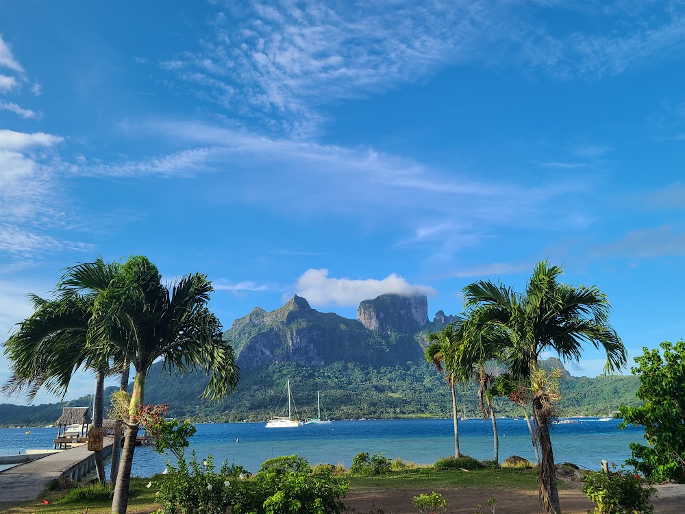 gem image Bloody Mary's Bora Bora 6