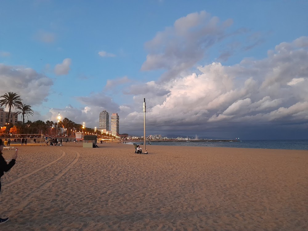 gem image Surf House Barcelona 2
