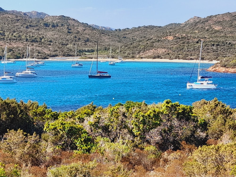 gem image Beach Rondinara 7