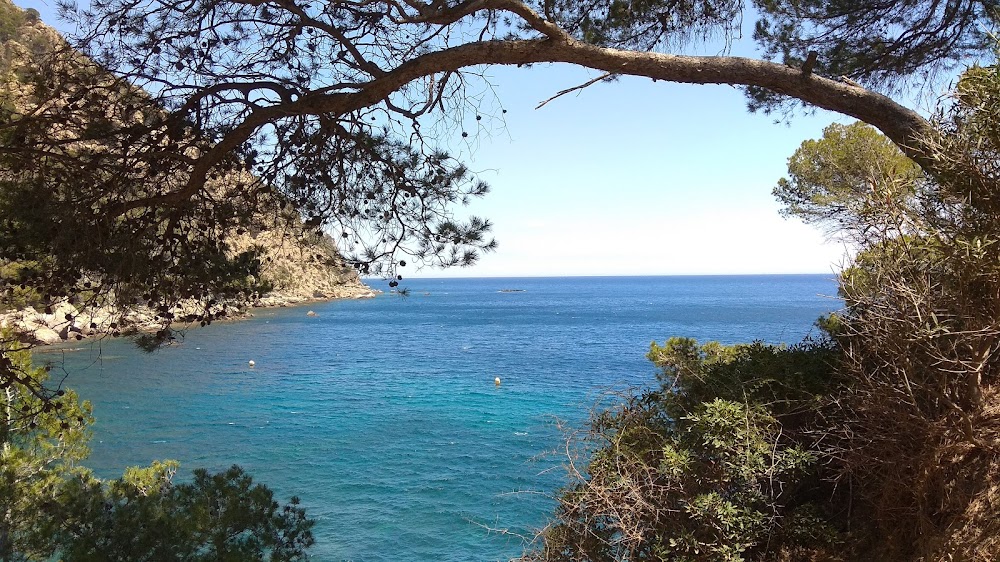 gem image Platja Fonda 6