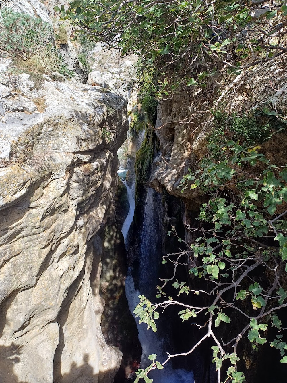gem image Kourtaliotiko Gorge 6