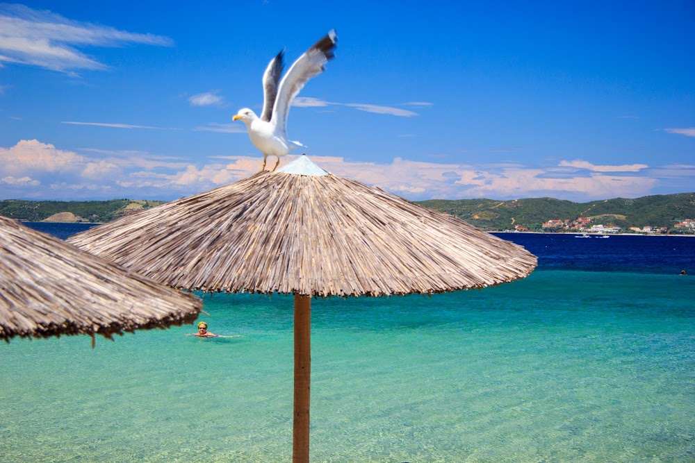 place image Agios Georgios Beach Resort