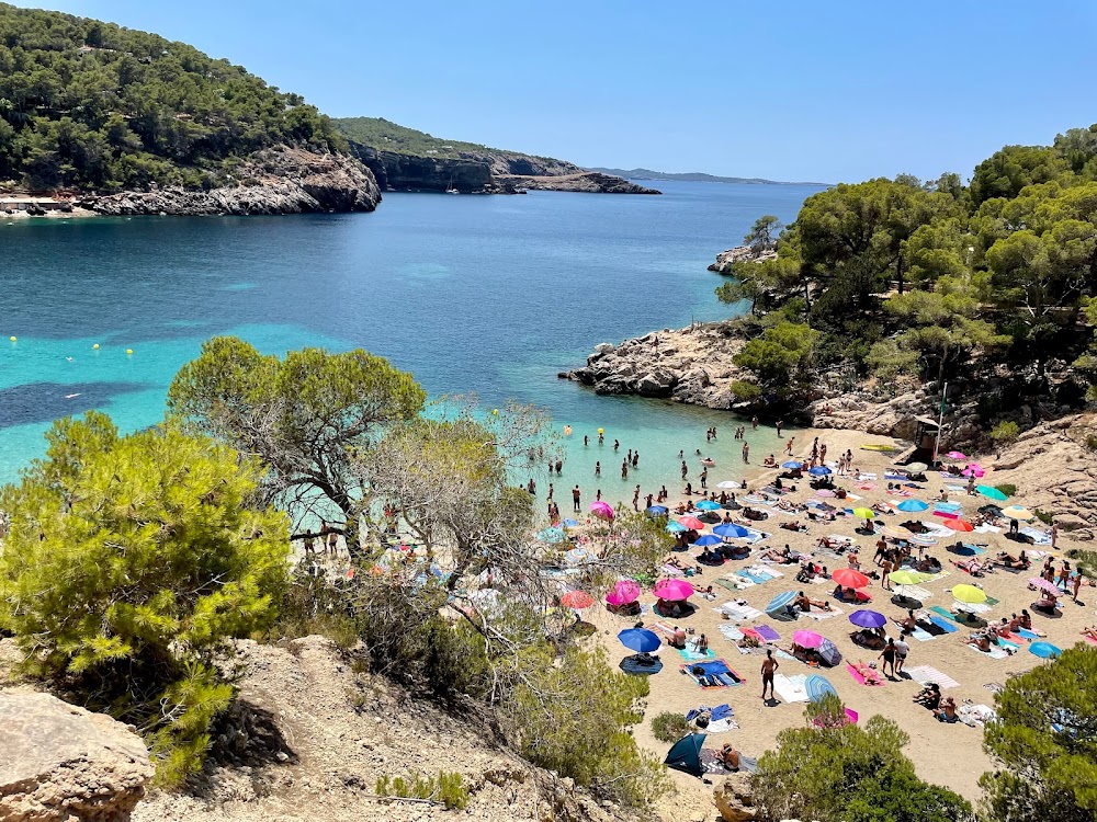 gem image Cala Salada 9