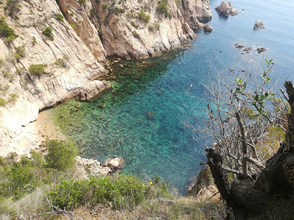 gem image Cala Pola 8