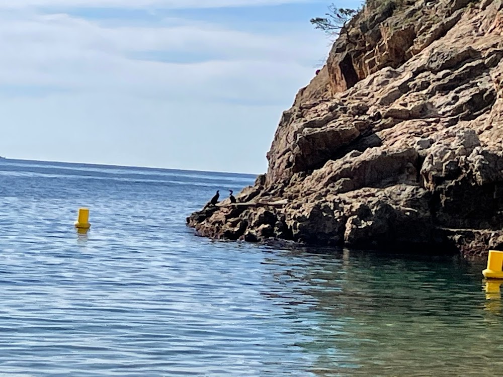 gem image Cala Pola 6