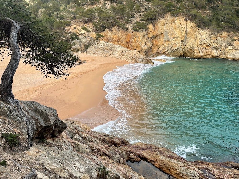 gem image Cala Pola 5