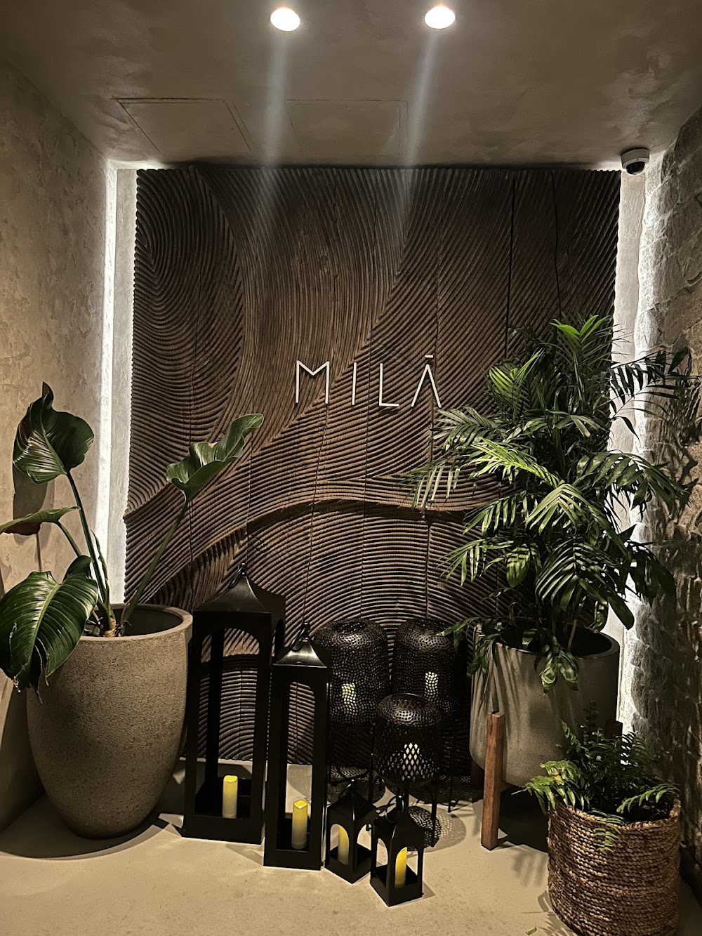 gem image MILA 2