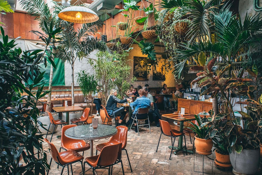gem image Botanikafé Jardins 10