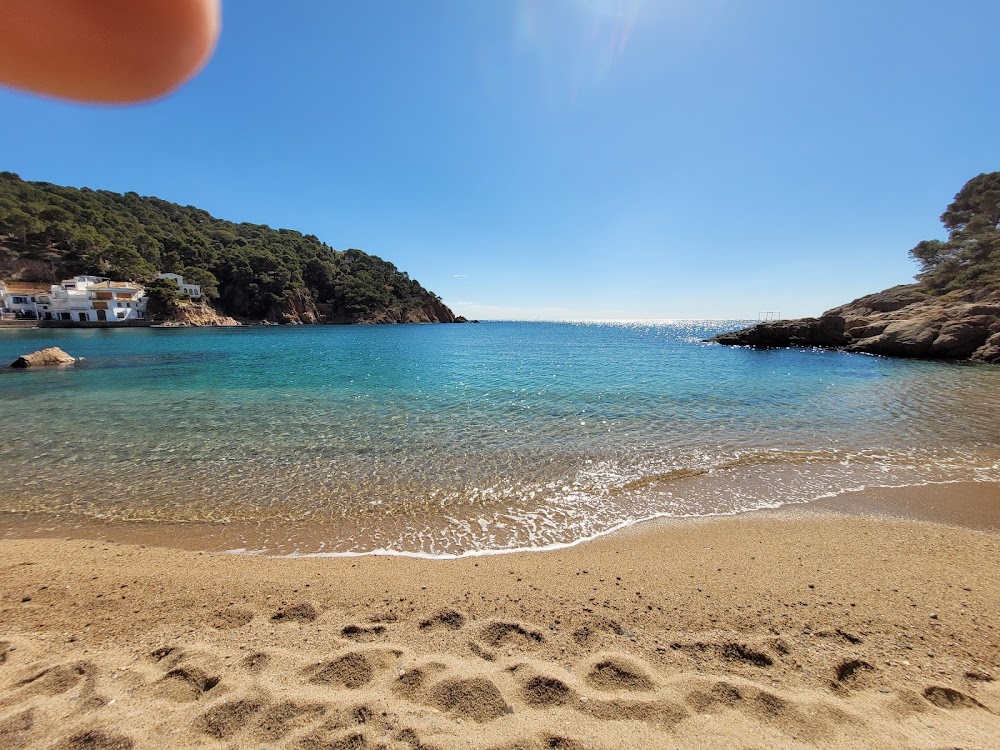 gem image Tamariu Beach 8