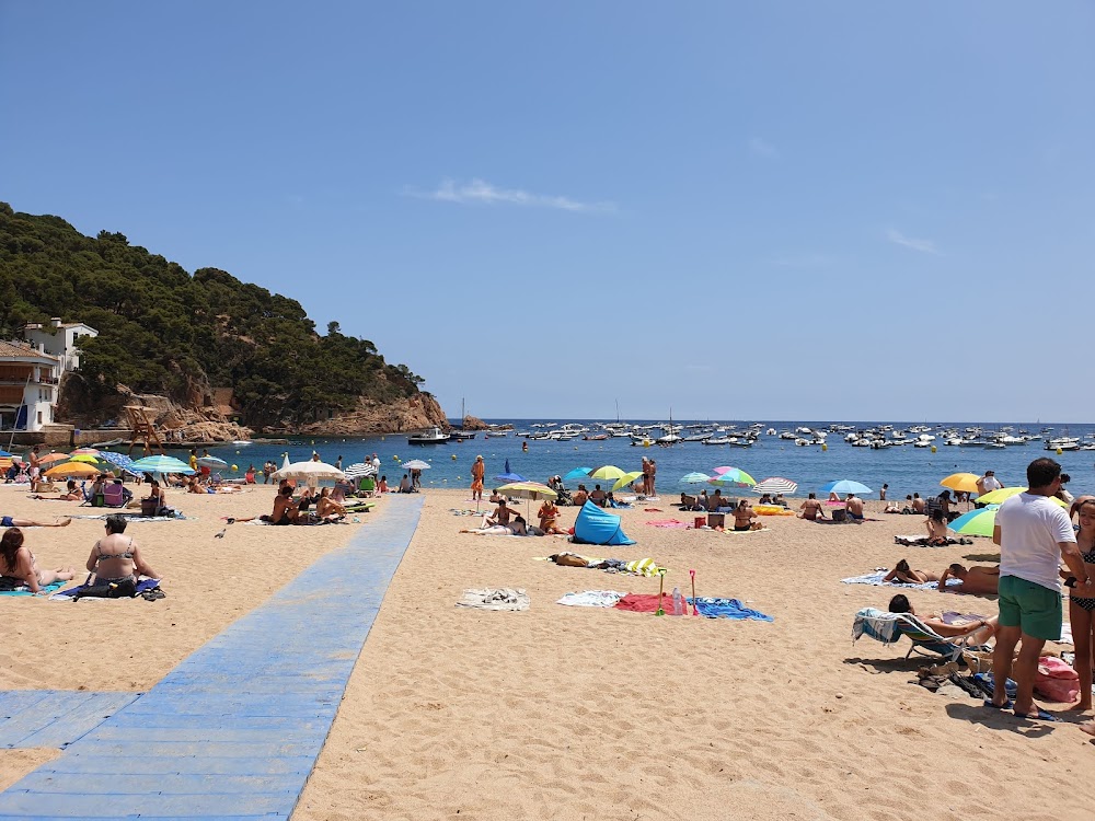 gem image Tamariu Beach 6