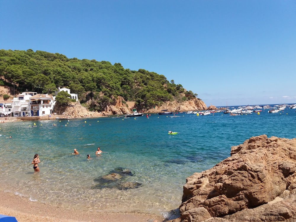 gem image Tamariu Beach 5