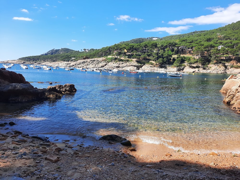 gem image Tamariu Beach 3