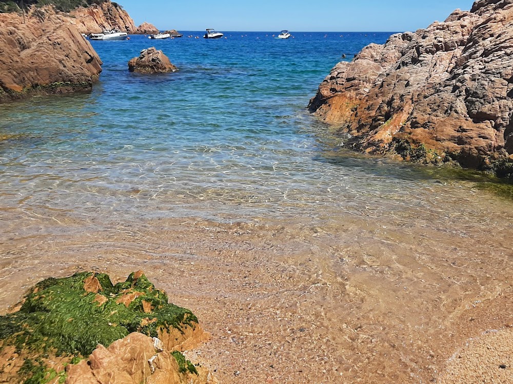 gem image Tamariu Beach 2