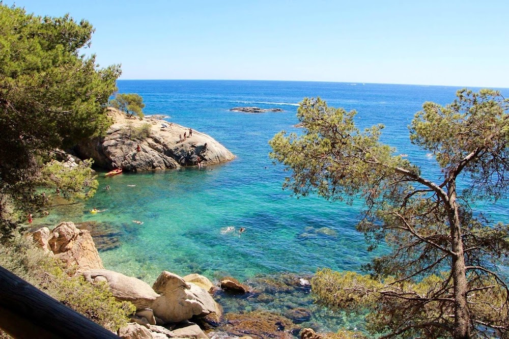 gem image Cala del Pi 10