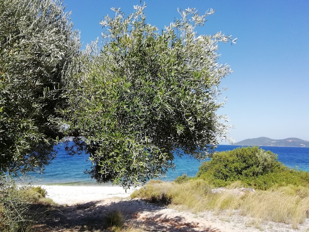 gem image Agia Paraskevi Beach 2
