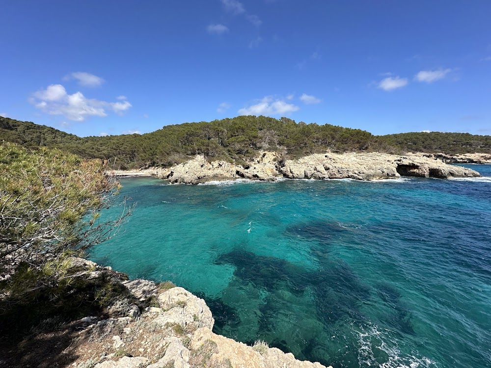 gem image Cala Fustam 10