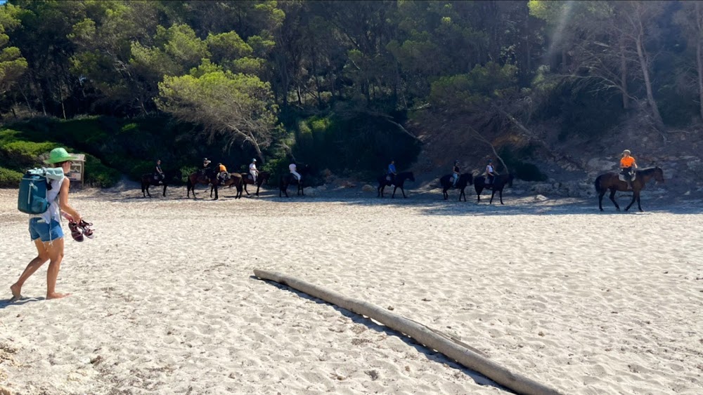 gem image Cala Fustam 6