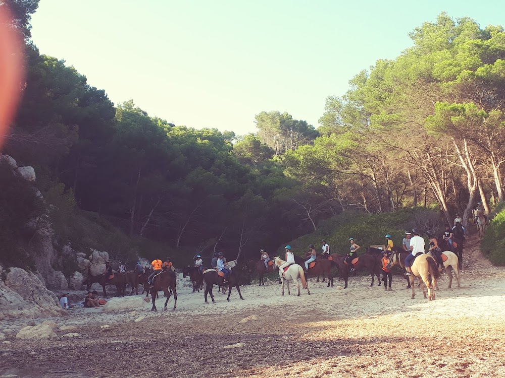gem image Cala Fustam 3