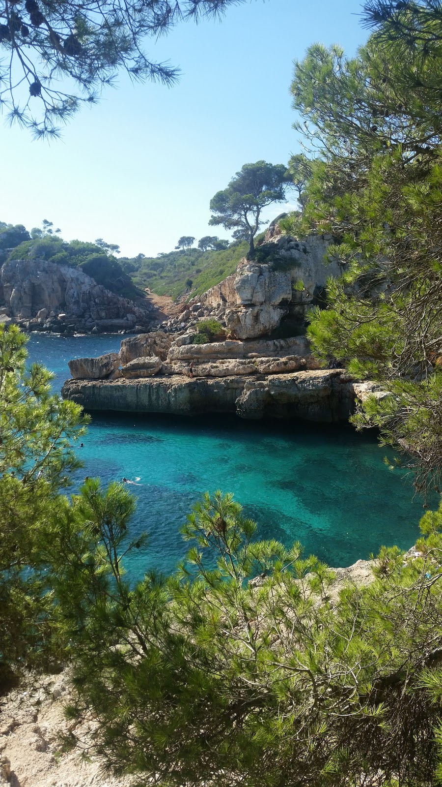 gem image Cala s'Almunia 8