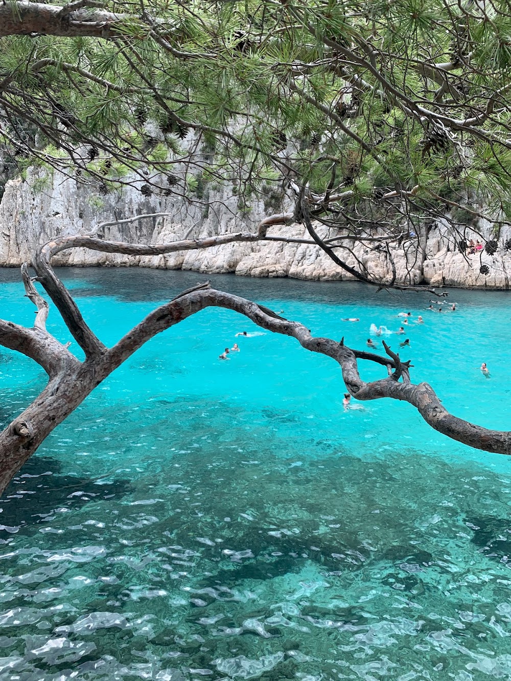 gem image Calanque d'En-vau 7