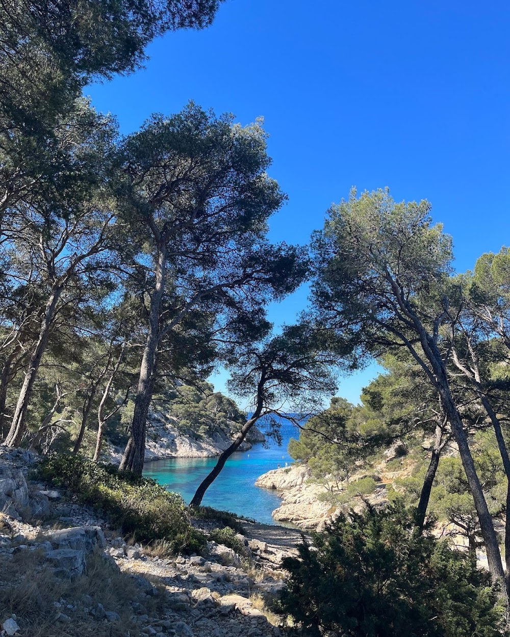 gem image Calanque d'En-vau 4
