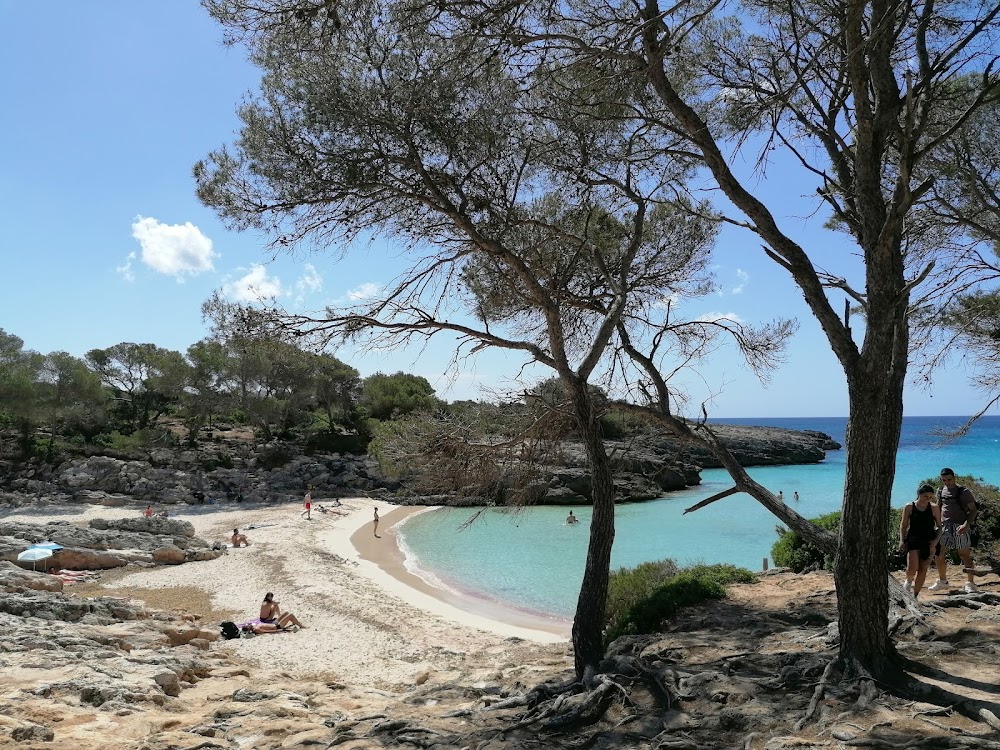 gem image Cala en Turqueta 9