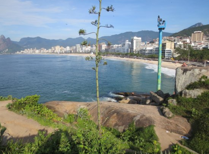 gem image Ipanema 7