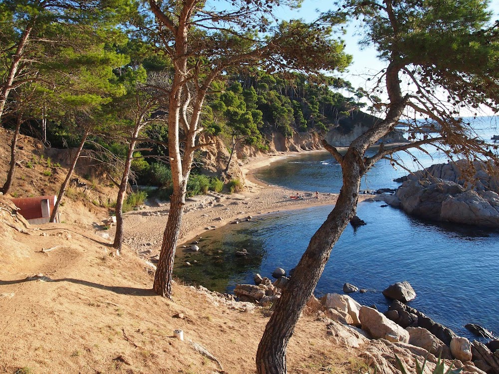 place image Cala Estreta