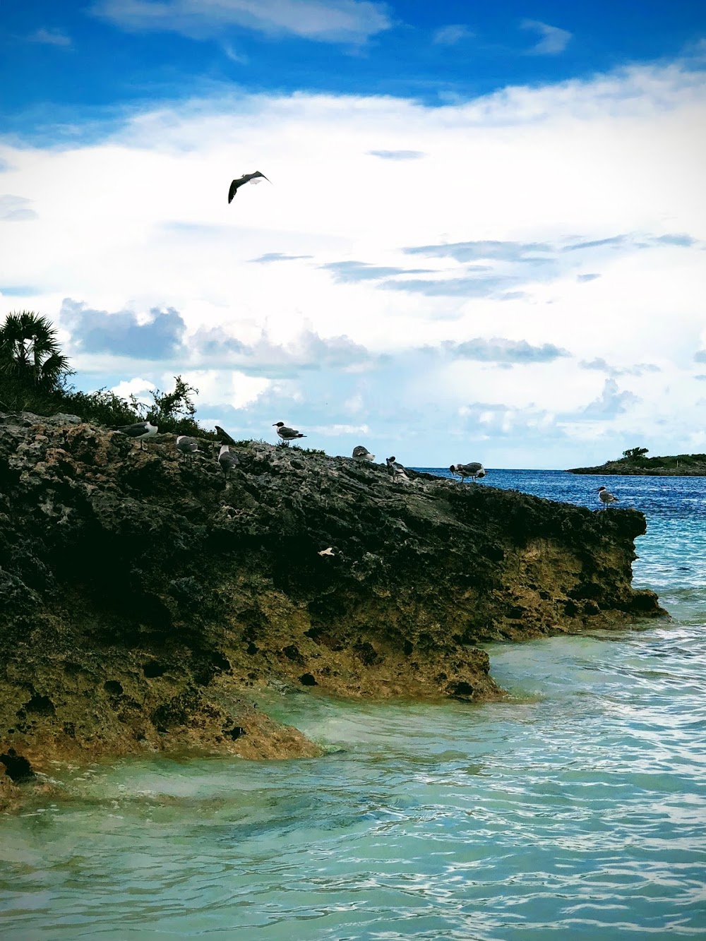 gem image Exuma 5