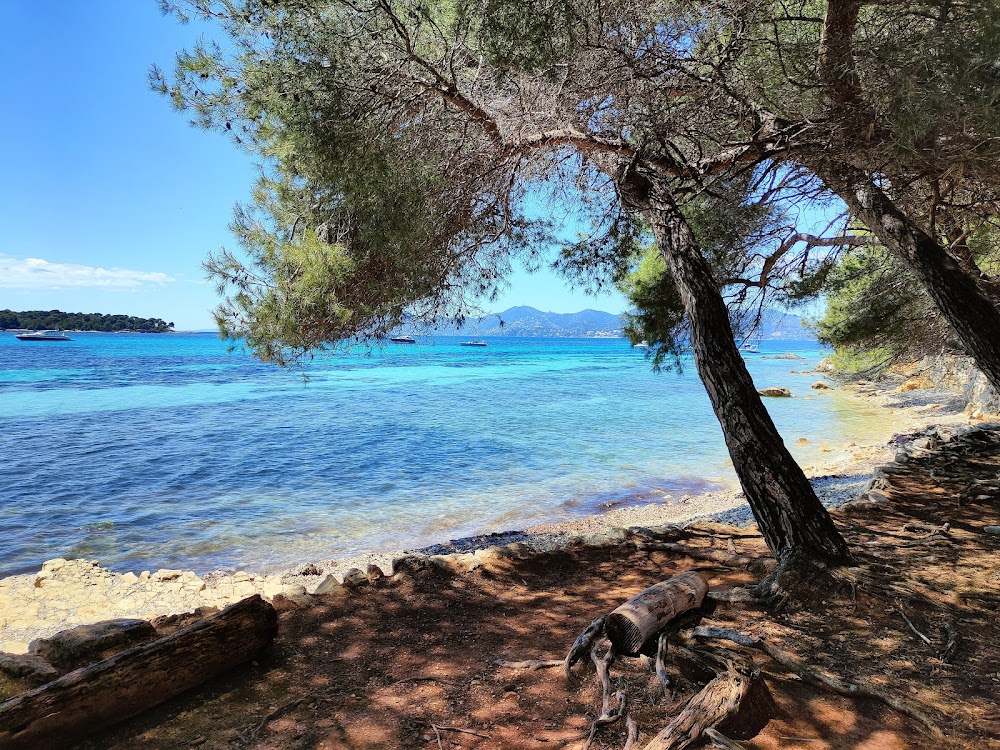 gem image Lérins Islands 6