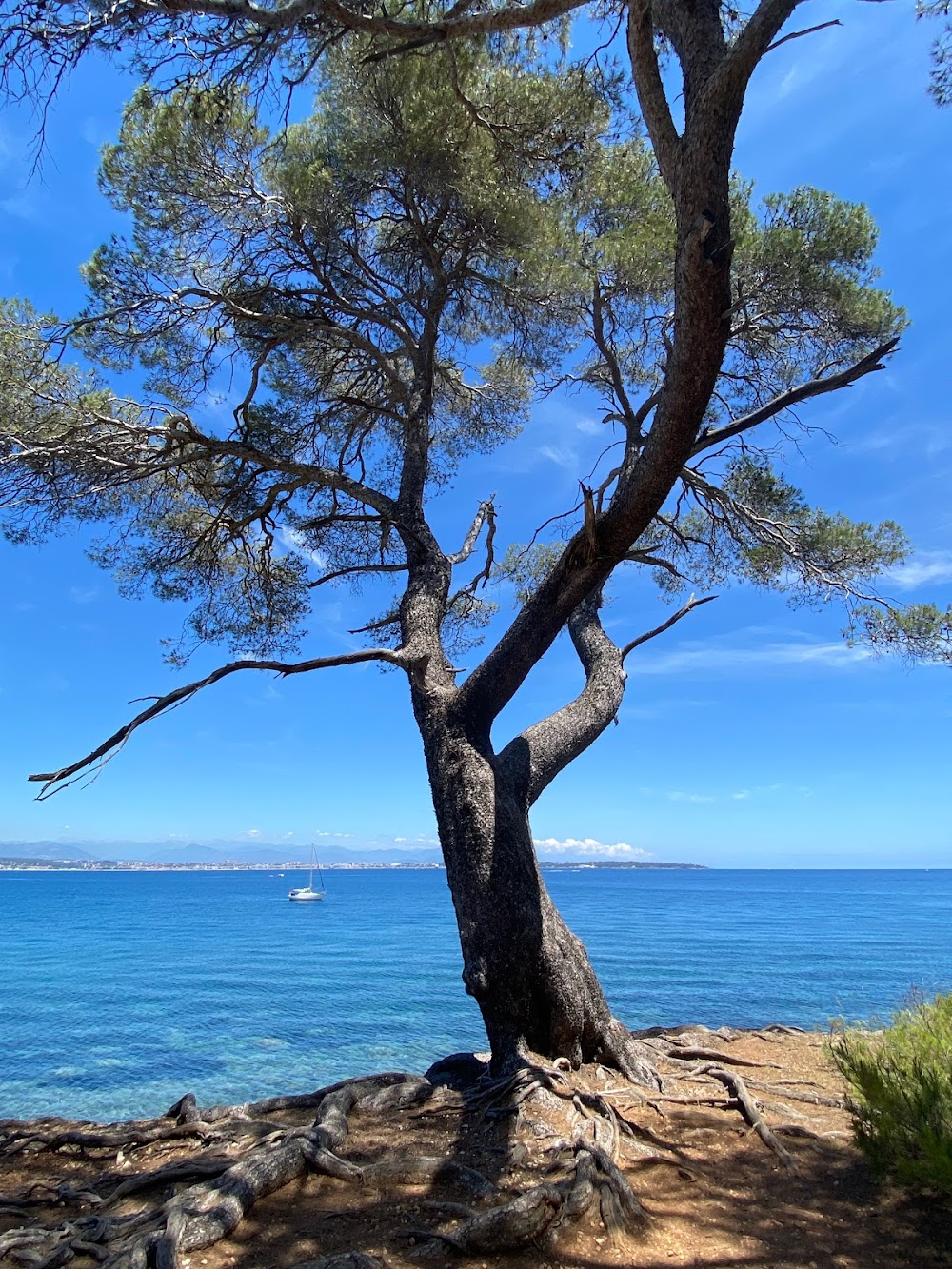 gem image Lérins Islands 3