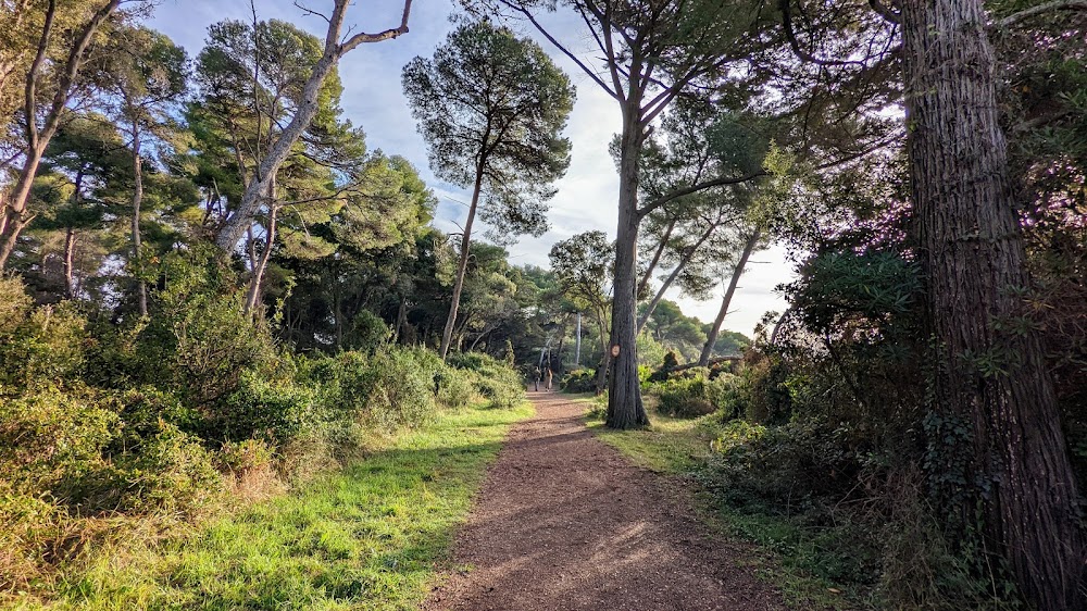place image Lérins Islands