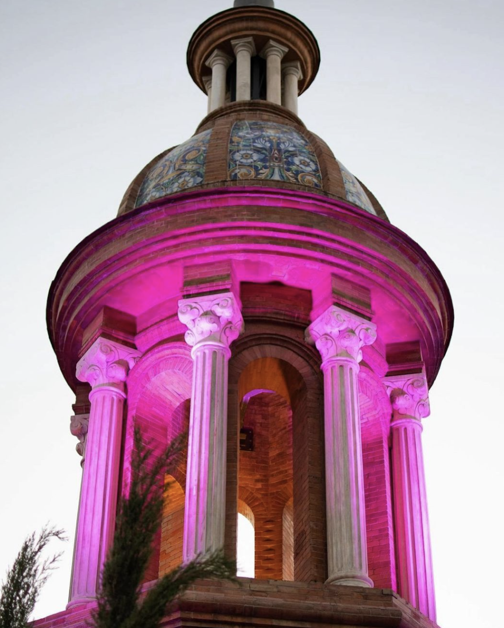 gem image Terraza Bianca Madrid 8