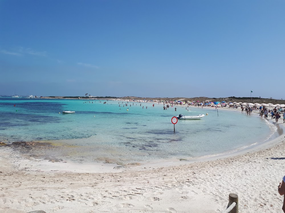 gem image Platja de Ses Illetes 10