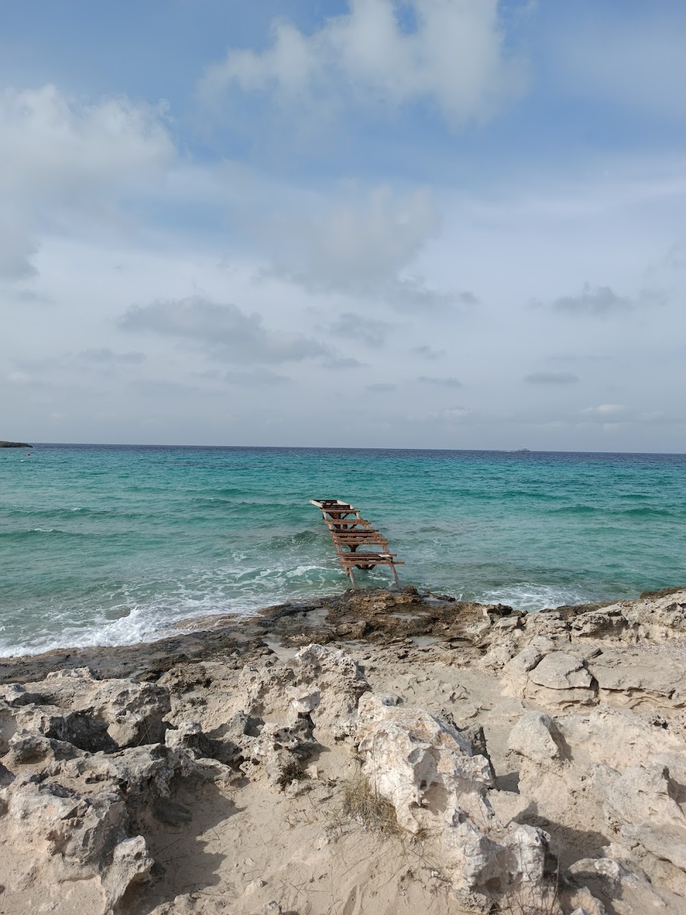 gem image Platja de Ses Illetes 9