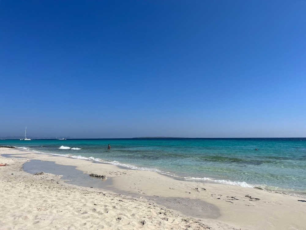gem image Platja de Ses Illetes 8