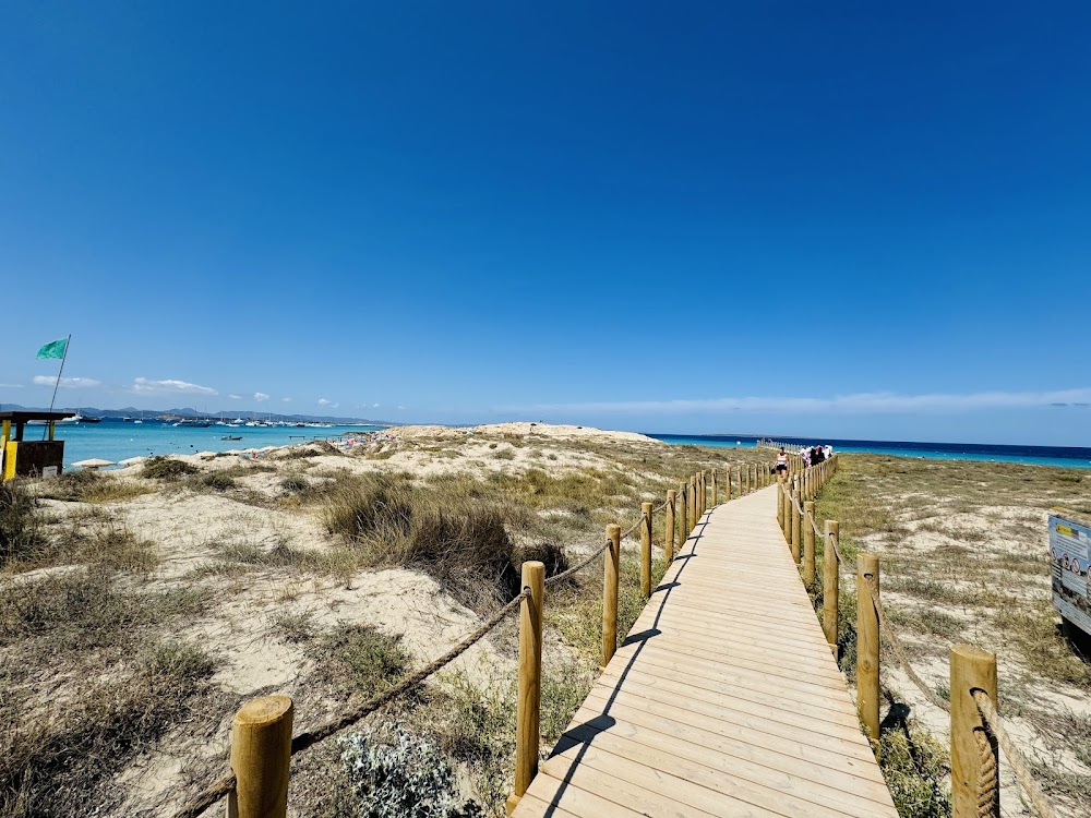 gem image Platja de Ses Illetes 6