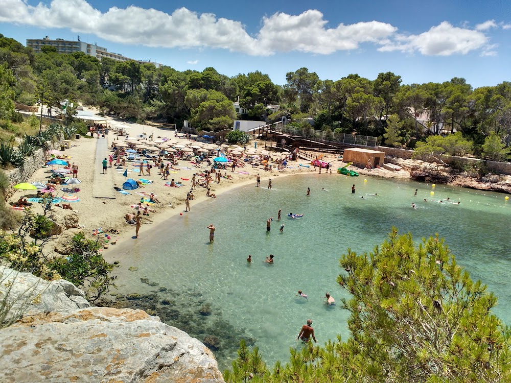 gem image Cala Gració 9